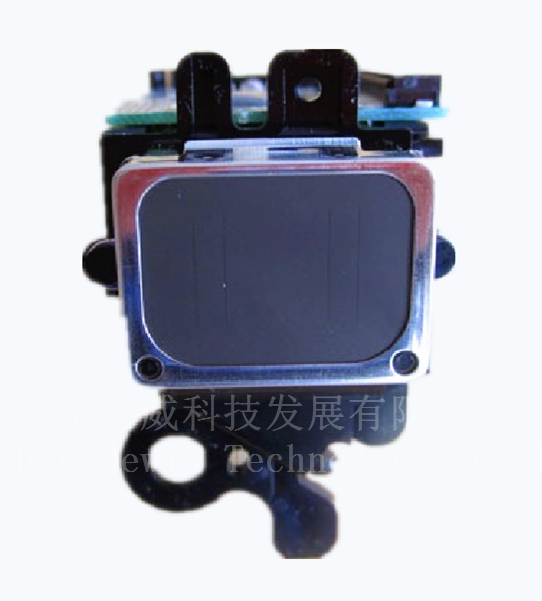 EPSON DX2