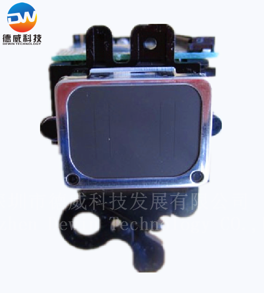 EPSON DX2