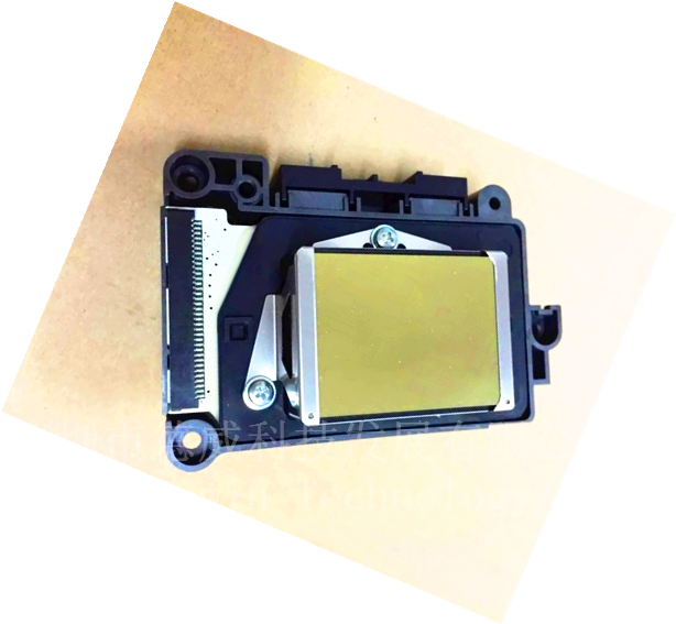EPSON DX7 F189010